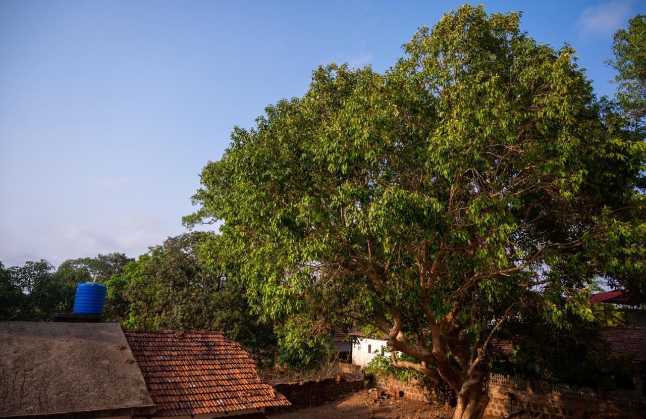 La Oasis By Meraden ,Goa Anjuna Eksteriør billede